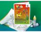 Preview: Ursus Window Color Malvorlagen