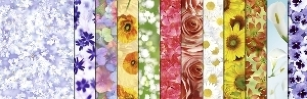 Transparentpapier, 50x61cm, Blumen-Motive